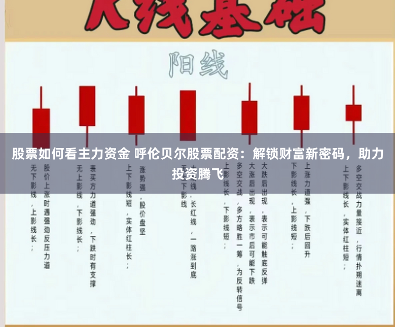 股票如何看主力资金 呼伦贝尔股票配资：解锁财富新密码，助力投资腾飞
