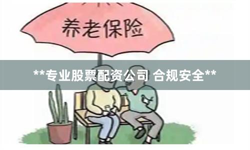 **专业股票配资公司 合规安全**